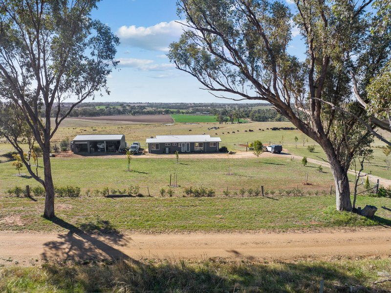 Photo - "Hilltops" 262 Cooringle Road, Harden NSW 2587 - Image 17