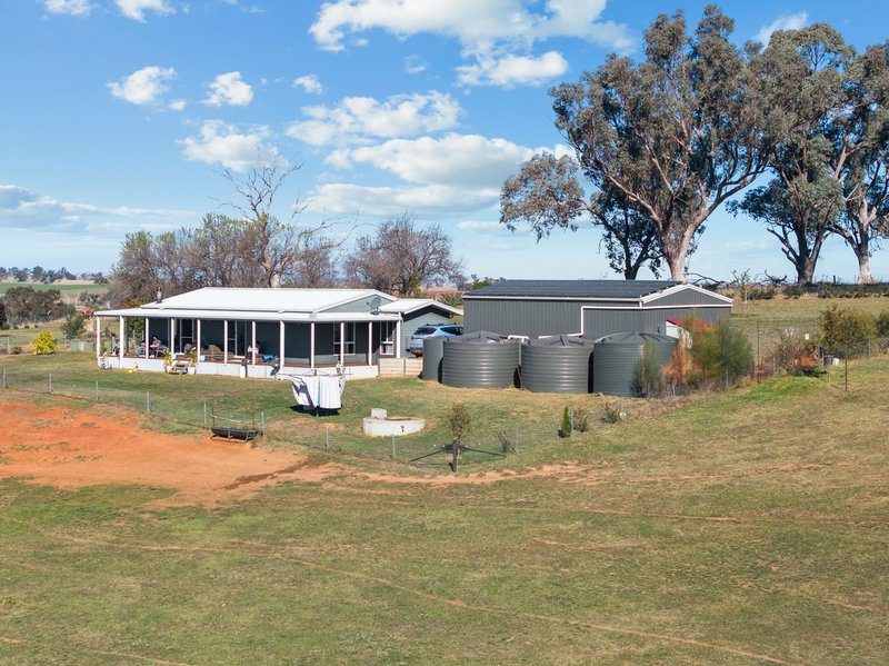 Photo - "Hilltops" 262 Cooringle Road, Harden NSW 2587 - Image 19