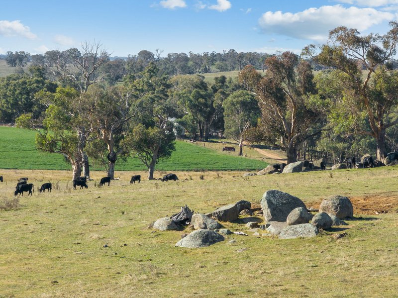 Photo - "Hilltops" 262 Cooringle Road, Harden NSW 2587 - Image 20