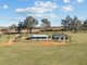 Photo - "Hilltops" 262 Cooringle Road, Harden NSW 2587 - Image 21