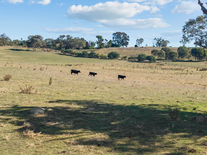 Photo - "Hilltops" 262 Cooringle Road, Harden NSW 2587 - Image 23