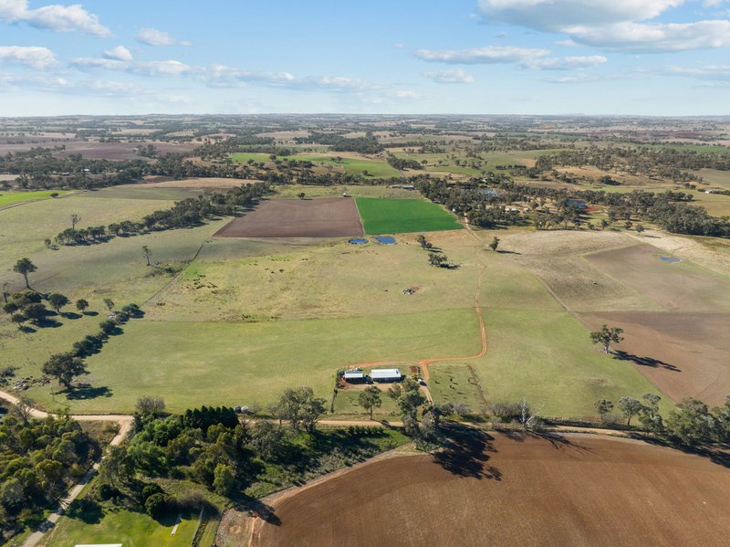 Photo - "Hilltops" 262 Cooringle Road, Harden NSW 2587 - Image 24