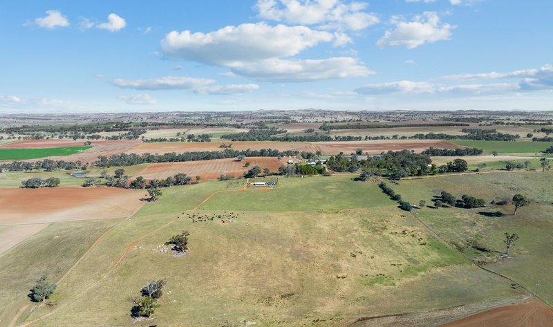 Photo - "Hilltops" 262 Cooringle Road, Harden NSW 2587 - Image 27