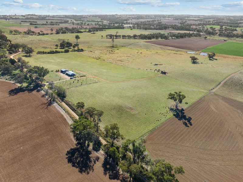 Photo - "Hilltops" 262 Cooringle Road, Harden NSW 2587 - Image 28