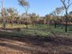 Photo - . Holbrook Wagga Road, Cookardinia NSW 2650 - Image 5