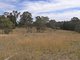 Photo - - Holm Street, Tumbarumba NSW 2653 - Image 2