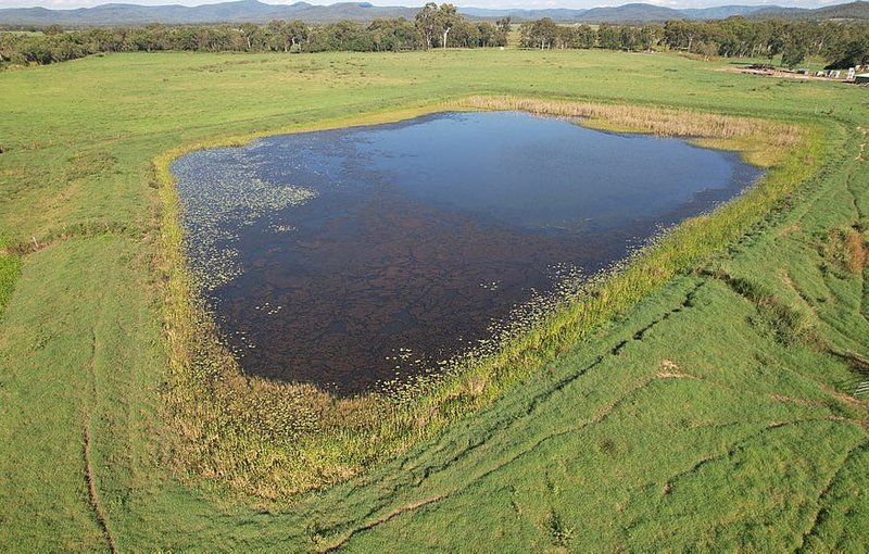 Photo - Ilbilbie QLD 4738 - Image 8