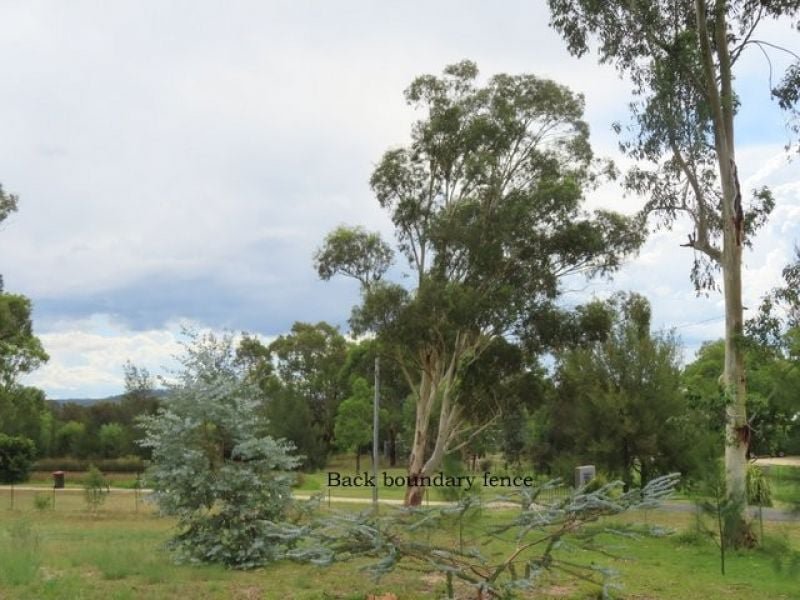 Photo - Inverell NSW 2360 - Image 20