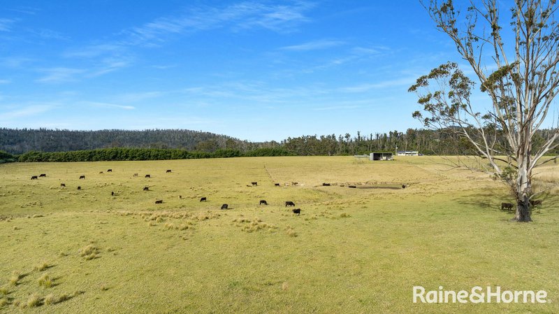 Photo - Ironbark Estate Lower Bugong Road, Budgong NSW 2577 - Image 3