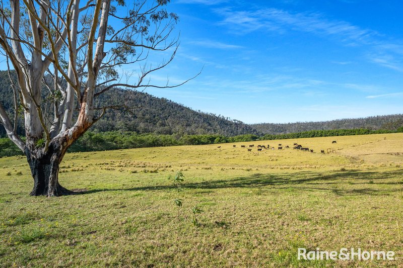 Photo - Ironbark Estate Lower Bugong Road, Budgong NSW 2577 - Image 16