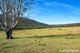 Photo - Ironbark Estate Lower Bugong Road, Budgong NSW 2577 - Image 16