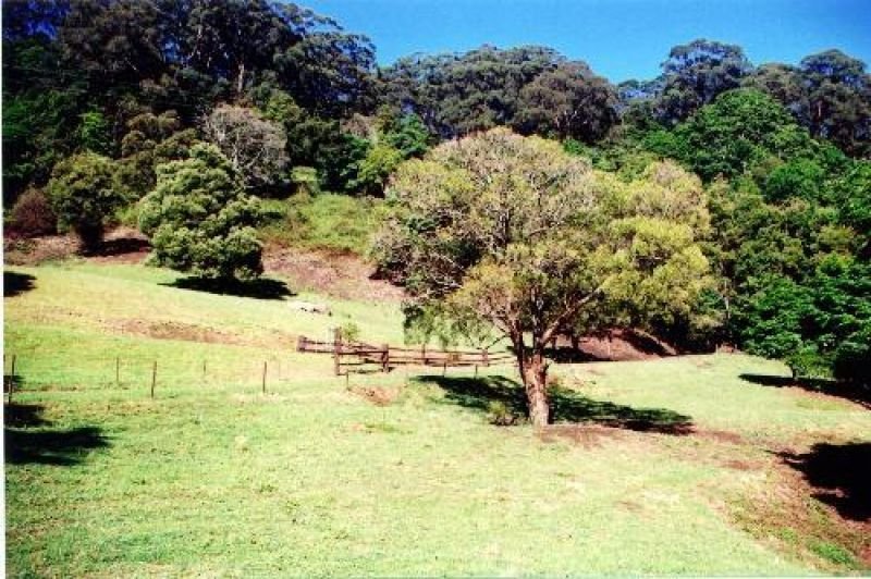 Jamberoo NSW 2533