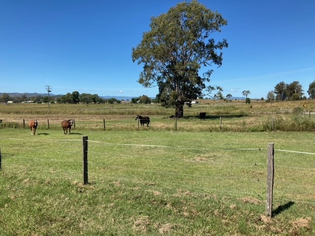 Photo - Josephville QLD 4285 - Image 7