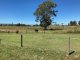 Photo - Josephville QLD 4285 - Image 7