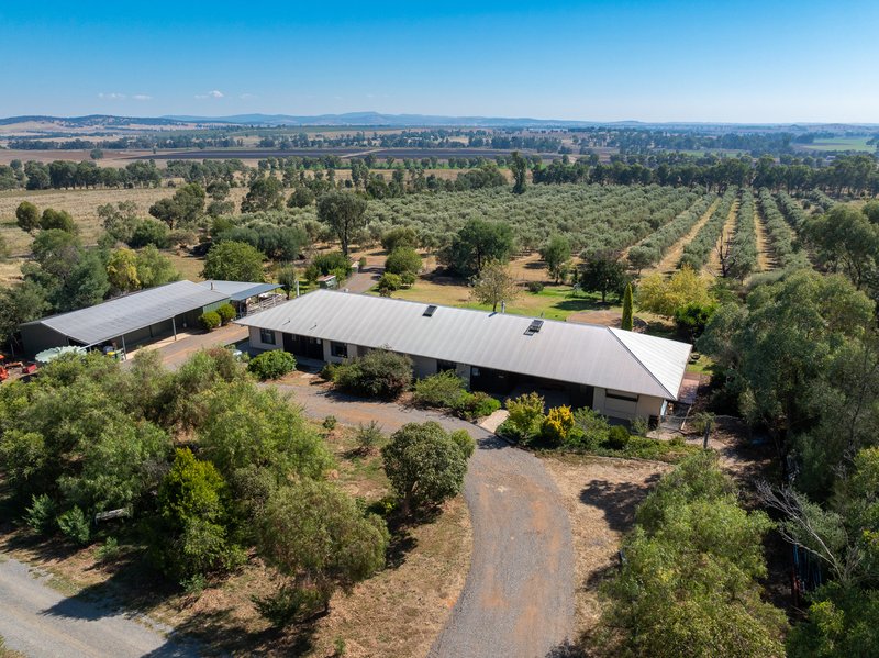 'Kalavista' 20/444 Rivers Road, Canowindra NSW 2804