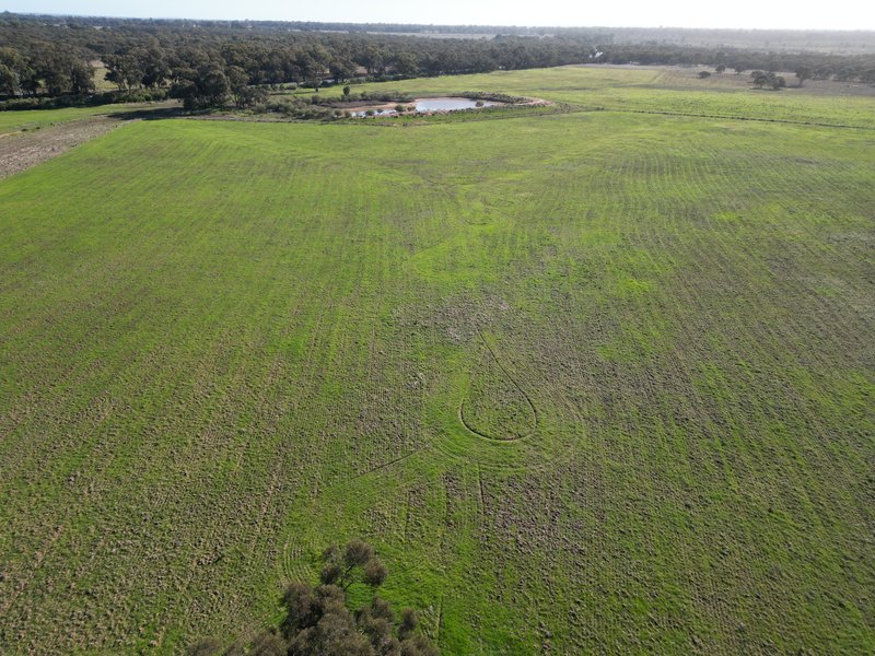 Photo - 'Kanembo' 13166 Newell Highway, West Wyalong NSW 2671 - Image 1