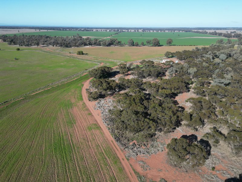 Photo - 'Kanembo' 13166 Newell Highway, West Wyalong NSW 2671 - Image 3