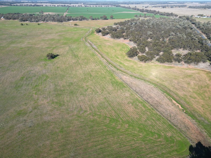 Photo - 'Kanembo' 13166 Newell Highway, West Wyalong NSW 2671 - Image 4