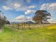 Photo - Kangaroo Valley NSW 2577 - Image 9