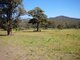 Photo - Karaak Flat NSW 2429 - Image 6