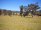 Photo - Karaak Flat NSW 2429 - Image 13