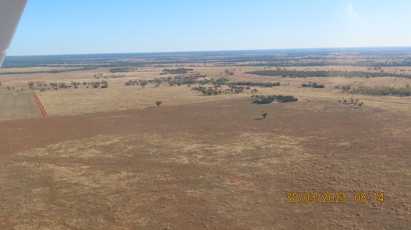 Photo - * Karinya , Hermidale NSW 2831 - Image 4