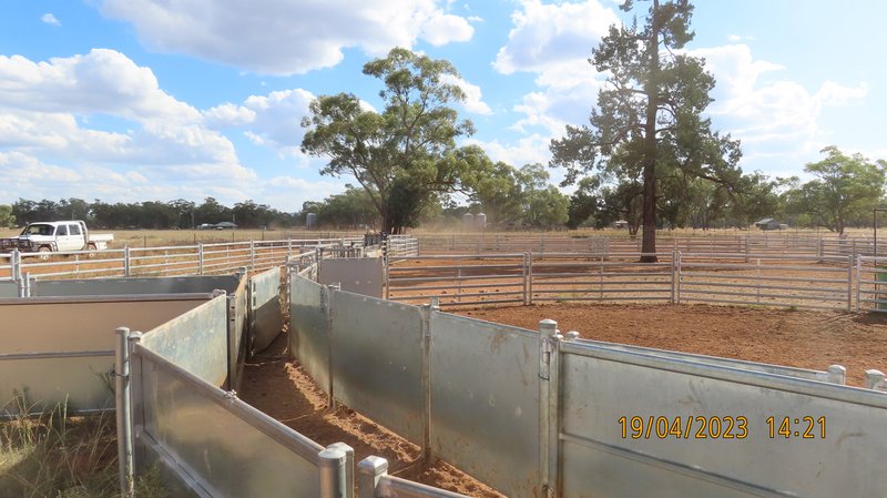 Photo - * Karinya , Hermidale NSW 2831 - Image 10