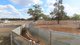 Photo - * Karinya , Hermidale NSW 2831 - Image 10