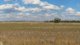 Photo - * Karinya , Hermidale NSW 2831 - Image 14