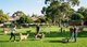 Photo - Kew VIC 3101 - Image 7