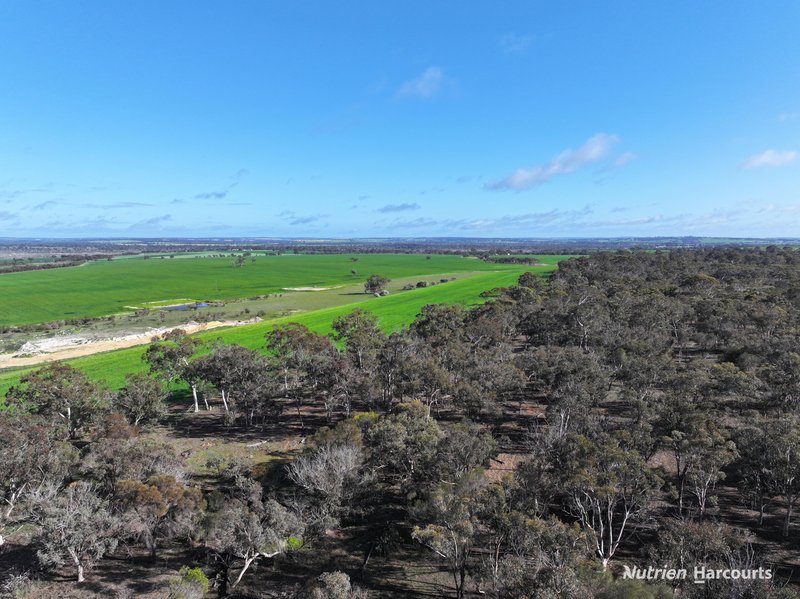 Photo - . Kibbleup Road, Katanning WA 6317 - Image 6