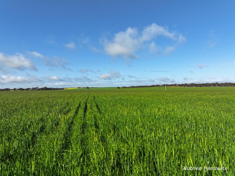 Photo - . Kibbleup Road, Katanning WA 6317 - Image 9