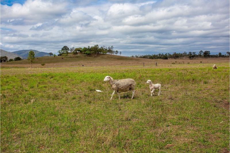 Photo - Kilkivan QLD 4600 - Image 9