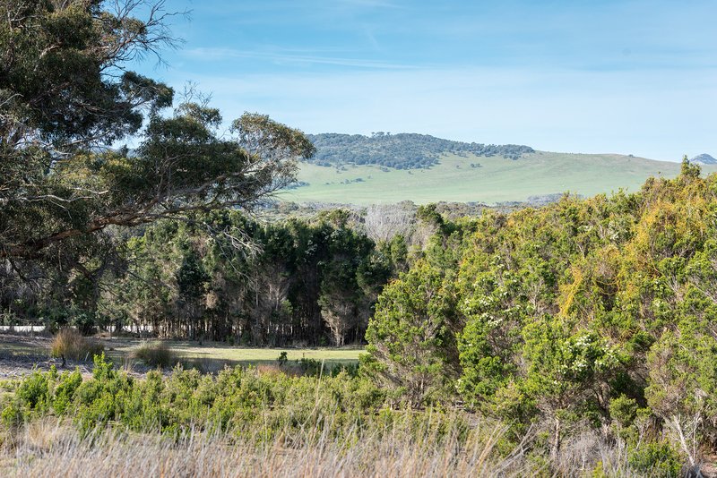 Photo - . Killiecrankie Road, Killiecrankie TAS 7255 - Image 7