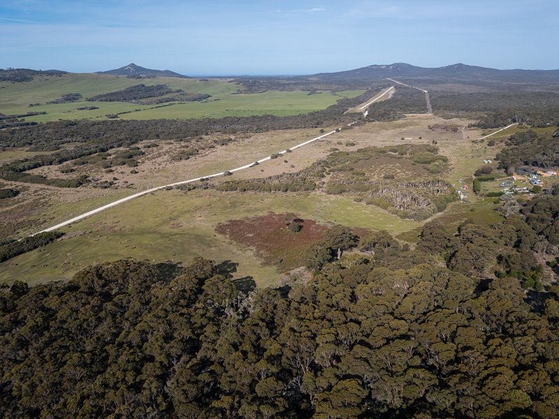 Photo - . Killiecrankie Road, Killiecrankie TAS 7255 - Image 12