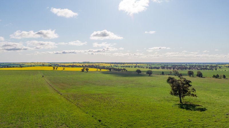 Kincora & Poachers Millwood Road, Coolamon NSW 2701