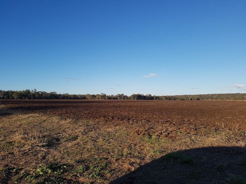 Photo - Kingaroy QLD 4610 - Image 16