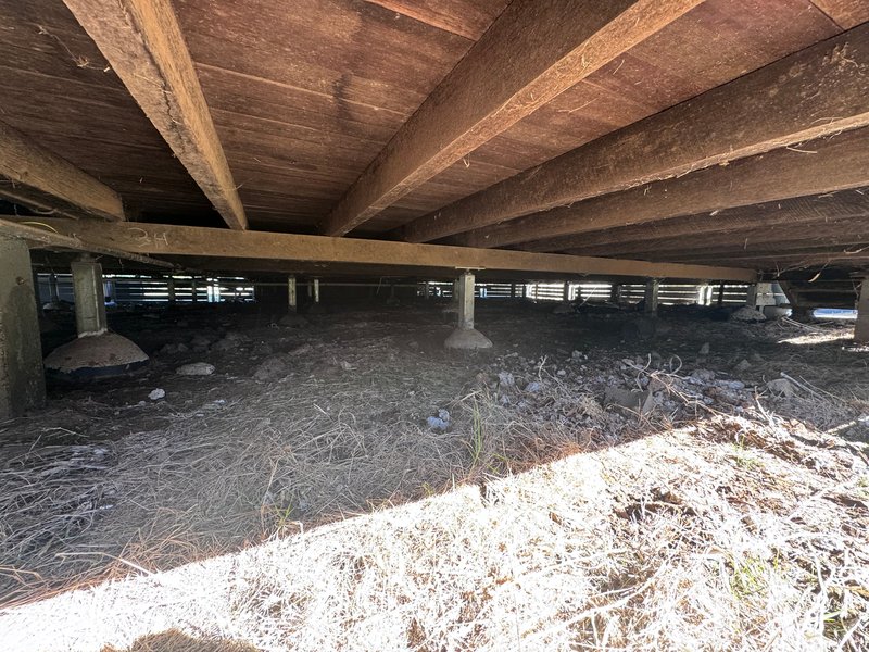 Photo - Kingaroy QLD 4610 - Image 23