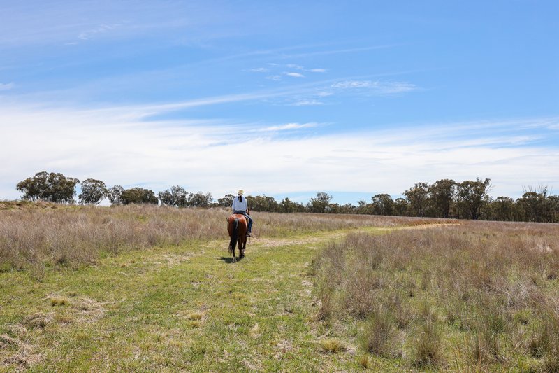 Photo - 'Kiora' Kia Ora Lane, Tamworth NSW 2340 - Image 21