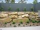 Photo - Kirrawee NSW 2232 - Image 5
