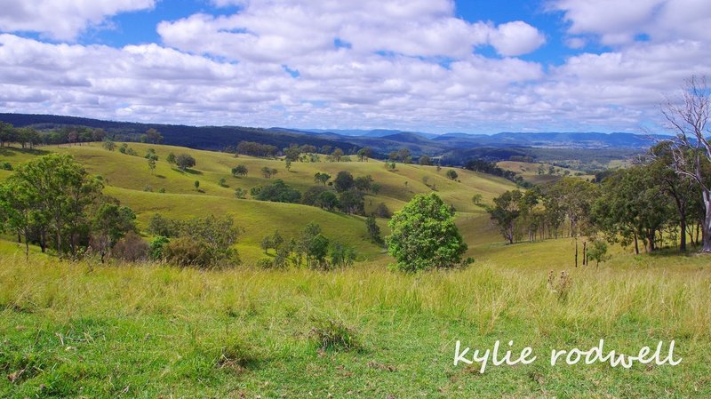 Photo - Knapp Creek QLD 4285 - Image 4