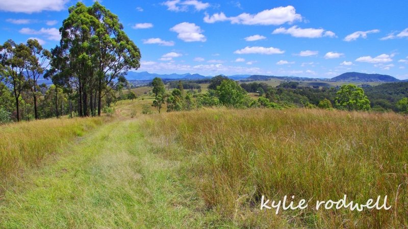 Photo - Knapp Creek QLD 4285 - Image 21