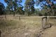 Photo - Knapp Creek QLD 4285 - Image 13