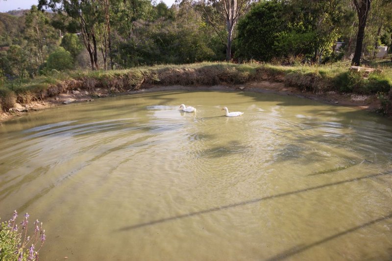 Photo - Kooralbyn QLD 4285 - Image 20