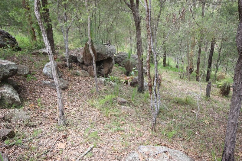 Photo - Kooralbyn QLD 4285 - Image 10