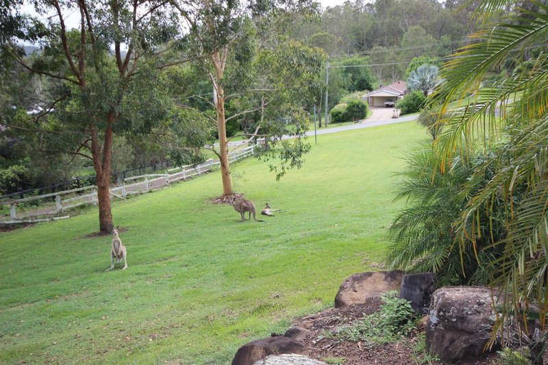 Photo - Kooralbyn QLD 4285 - Image 25