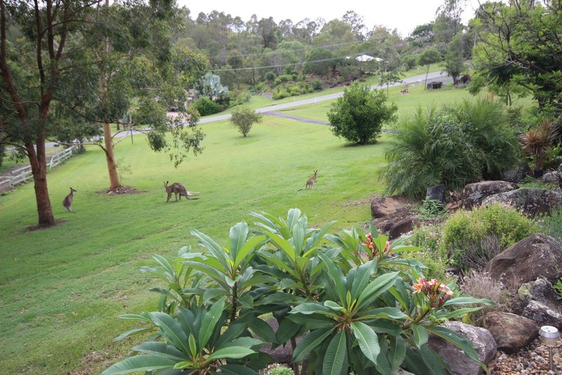 Photo - Kooralbyn QLD 4285 - Image 26