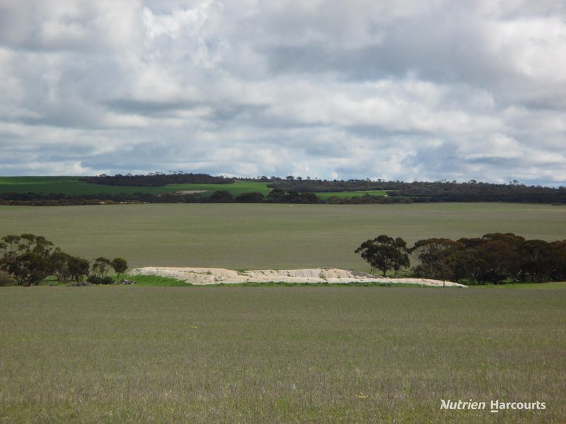 Photo - . Kulin Holt Rock Road, Pingaring WA 6357 - Image 4