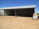 Photo - . Kulin Holt Rock Road, Pingaring WA 6357 - Image 13