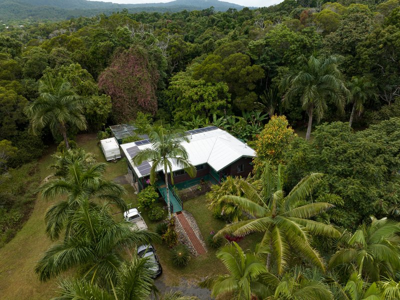 Photo - Kuranda QLD 4881 - Image 4